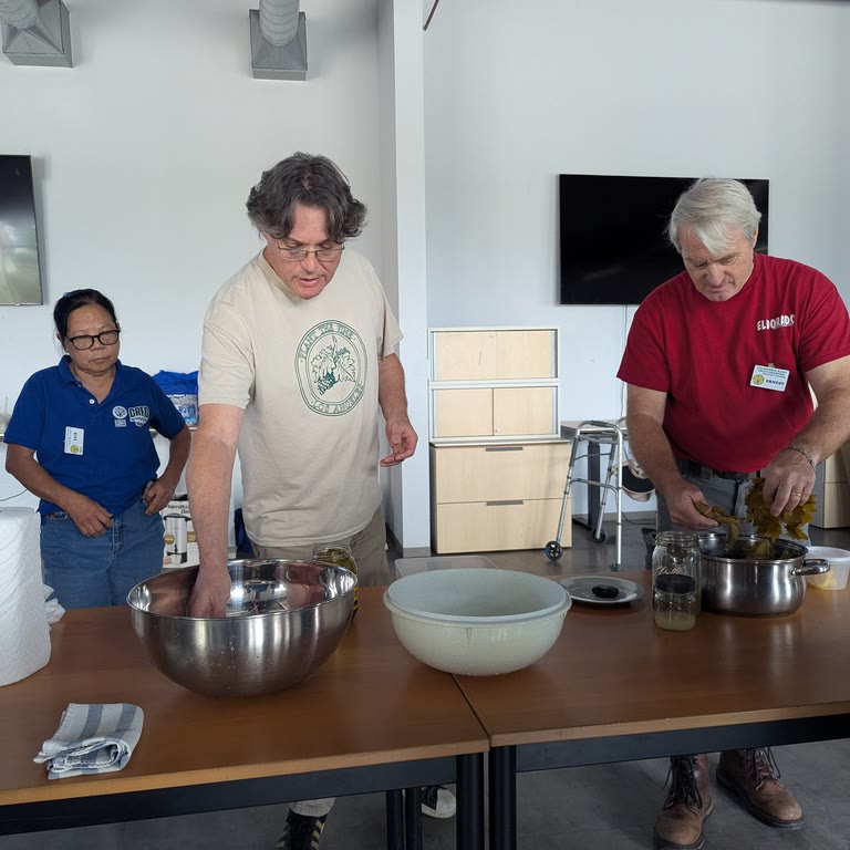 Dolma making demonstration